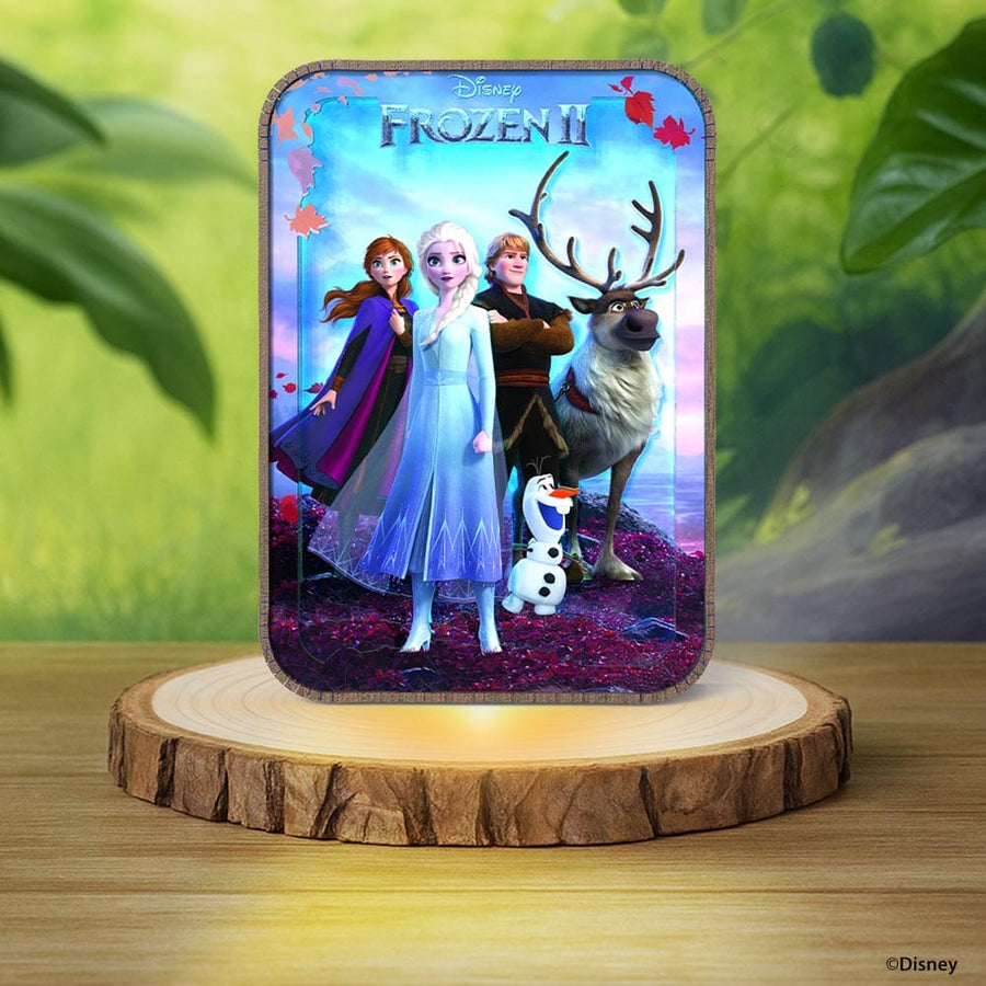 Frozen Journey - 3D DIY Wooden Puzzle Night Lamp