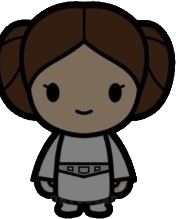 PRINCESS LEIA™